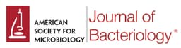 Journal of Bacteriology