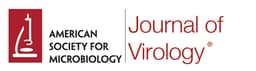 Journal of Virology