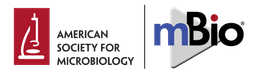 mBio